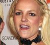 Si Britney Spears s'est rasée le crâne en 2007, c'est pour une (très) bonne raison