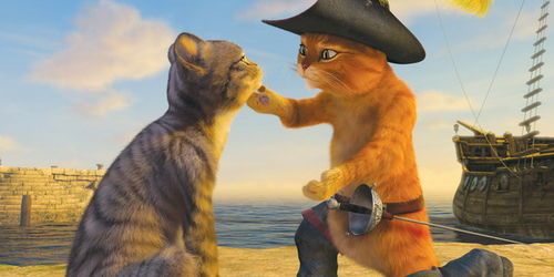 L'irrésistible « Chat Potté » à ne pas manquer !