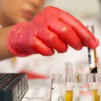 Cancer : un vaccin capable de s'attaquer aux tumeurs chez la souris