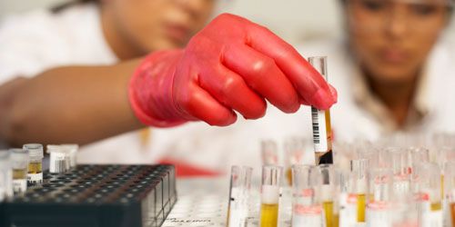 Cancer : un vaccin capable de s'attaquer aux tumeurs chez la souris