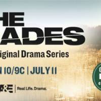 M6 : diffusion de la série « The Glades »