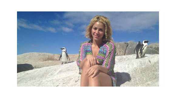 Shakira victime d’une attaque d’otarie en Afrique