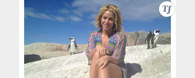 Shakira victime d’une attaque d’otarie en Afrique