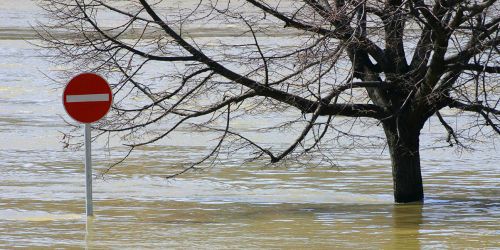 Changements climatiques : la France sous-estime les enjeux sécuritaires