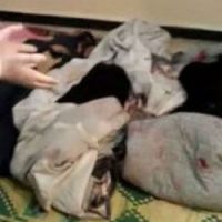 Syrie, le choc : les femmes et les enfants martyrs de Homs