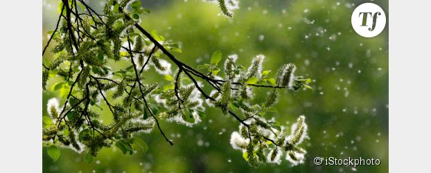 Alerte aux pollens : une fin de mars « terrible pour les allergiques »