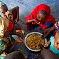 Problèmes démographiques et environnementaux sont étroitement liés