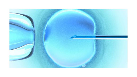 FIV : une nouvelle méthode pour choisir « le bon œuf »