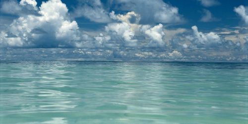 Journée mondiale de l'océan : Ban Ki-moon appelle à la mobilisation