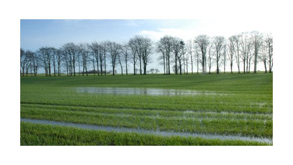 Les nappes phréatiques se sont rechargées grâce à la pluie