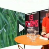 France 2 : un décolleté trop plongeant flouté dans Télé Matin (vidéo)