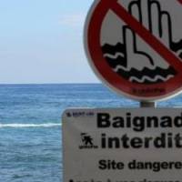 Un requin sur les côtes de la Manche