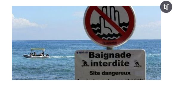 Un requin sur les côtes de la Manche