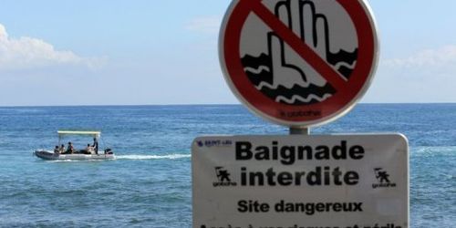 Un requin sur les côtes de la Manche