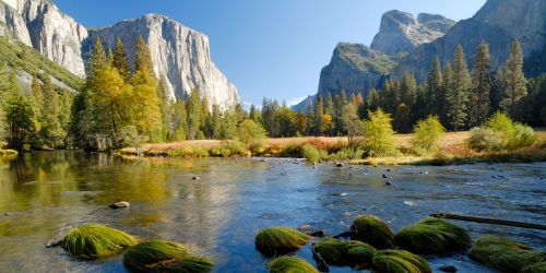 Virus du Yosemite aux USA : 53 familles françaises surveillées