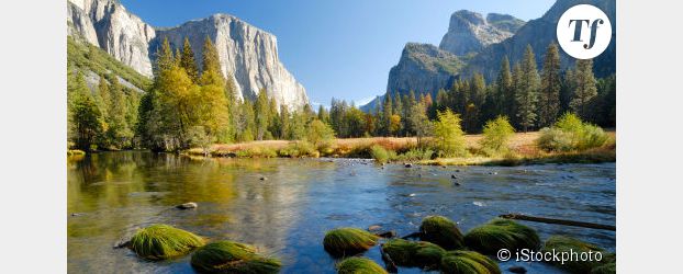 Virus du Yosemite aux USA : 53 familles françaises surveillées
