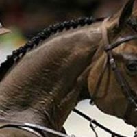 Le Jumping International de Bordeaux met la femme à l’honneur