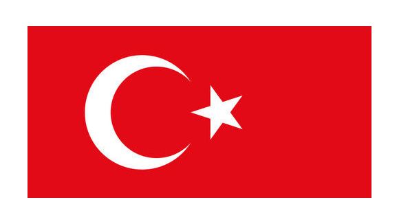 Turquie : enceinte, elle décapite son violeur