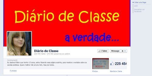 Brésil : une ado crée le buzz en dénonçant l'état des écoles sur Facebook