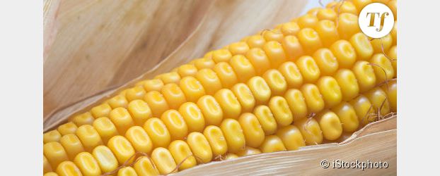 OGM : pourquoi l'étude qui affole est remise en question