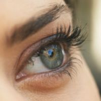 Perception : les hommes voient les véhicules, les femmes les êtres vivants