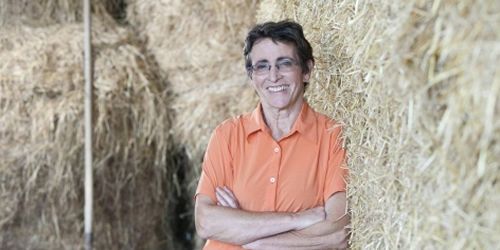 Bilan : la malédiction des agricultrices dans "L’Amour est dans le pré"