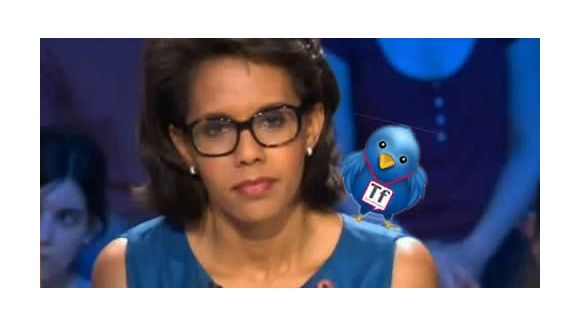 Mariage Gay, Pulvar, la marinière de Montebourg, Baumgartner et la blague de Ruquier : une semaine sur Twitter