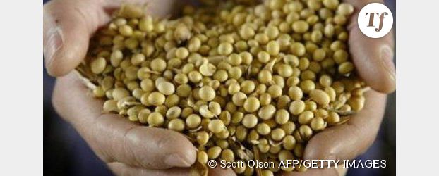 OGM : Royal, Voynet et Lepage demandent un réexamen des autorisations