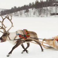 Ouverture du secrétariat du Père Noël 2012