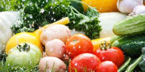 Légumes d’antan, retour gagnant en replay sur France 5