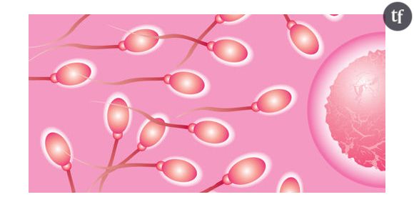 Le sperme des Français baisse en qualité et en concentration : notre fertilité menacée ?