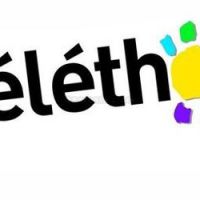 Téléthon 2012 : suivre les émissions en direct live streaming et replay