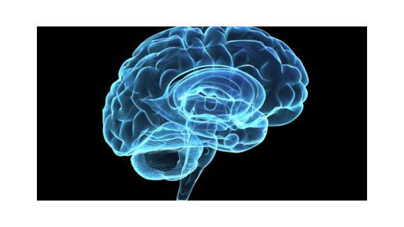 Une main commandée par la pensée contre la paralysie