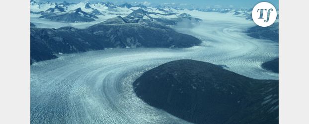 Antarctique : ça se réchauffe sur la banquise