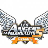 Anges 5 : le casting de « Paradise » sur NRJ12