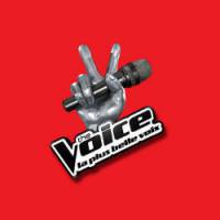 The Voice 2 : Maeva Méline et Chris des G Squad éliminés