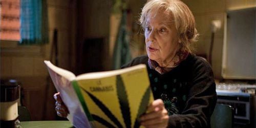 On a vu "Paulette" avec Bernadette Lafont en mamie dealeuse par nécessité