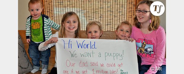Pari : contre un million de mention de "like" Facebook, des enfants gagnent un chien