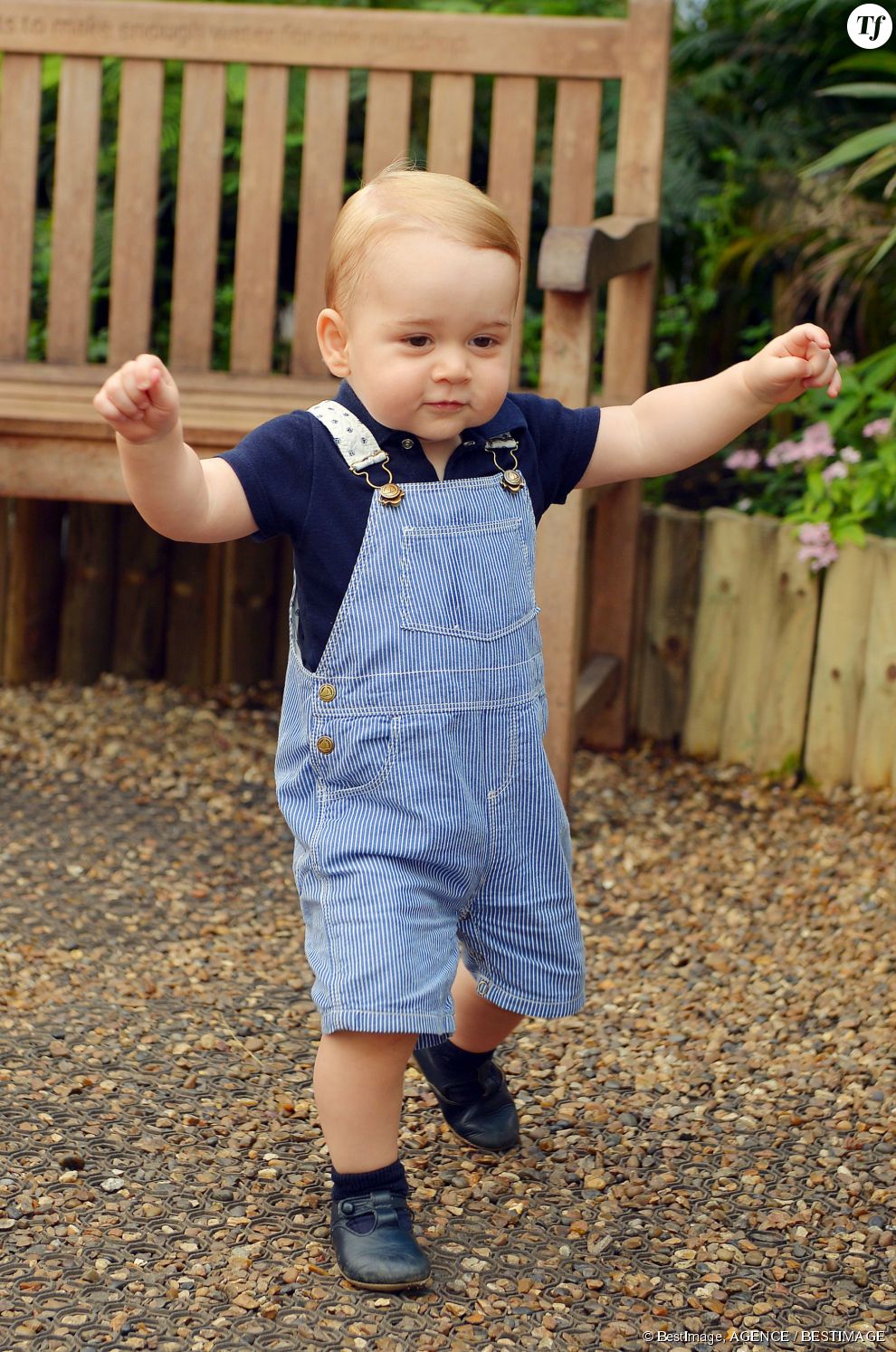 Une photo officielle du prince George lors de son premier anniversaire.