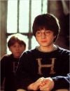 Daniel Radcliffe, ses lunettes et sa tête d'ange. A l'époque il n'avait que 11 ans.