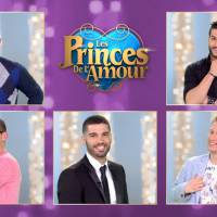 Les Princes de l'amour 3 : deux candidats éjectés de l'émission