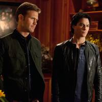 The Vampire Diaries saison 7 : Ian Somerhalder révèle quel personnage lui manque le plus