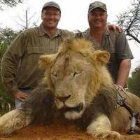 Cecil le lion : qui est son assassin Walter Palmer, l'homme le plus détesté d'internet ?