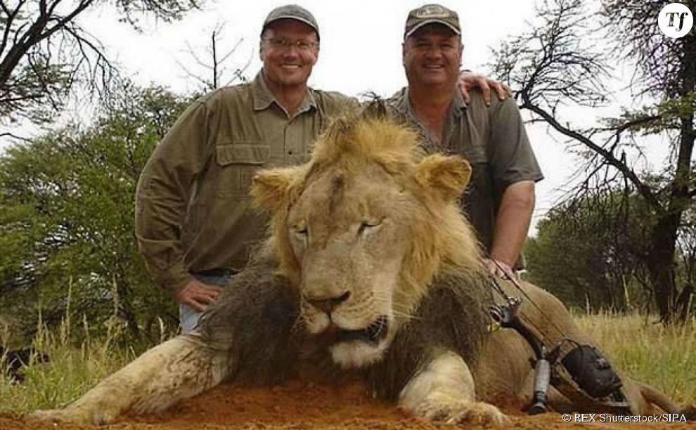 Walter Palmer pose avec un autre lion que Cecil