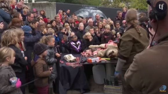 La dissection du lion au zoo d'Odense