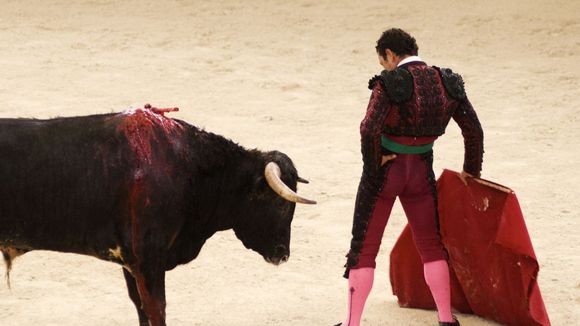 Tauromachie : le Parlement européen a-t-il donné le coup de grâce aux corridas ?