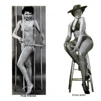 L'histoire oubliée des pin-ups noires