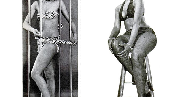 L'histoire oubliée des pin-ups noires