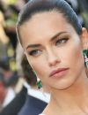 Adriana Lima sait comment mettre en valeur sa beauté brésilienne avec un joli trait d'eye liner à Cannes.