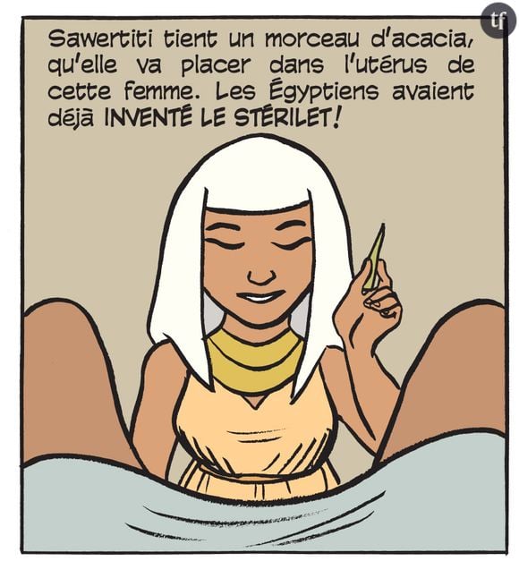 Sex Story, histoire de la sexualité en BD